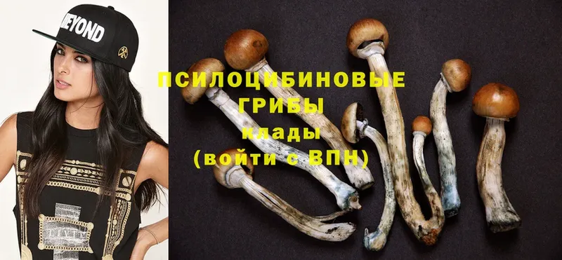 Псилоцибиновые грибы MAGIC MUSHROOMS  Шенкурск 